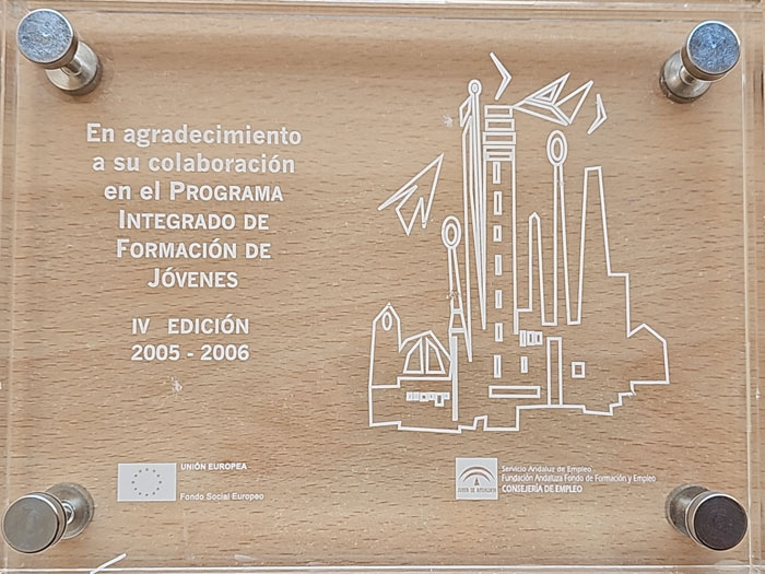 2005-2006-Servicio-Andaluz-de-Empleo